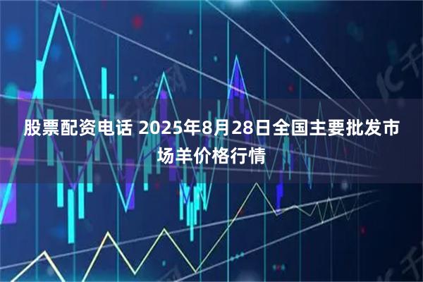 股票配资电话 2025年8月28日全国主要批发市场羊价格行情